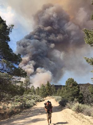 PCT-2016  Photo by Elliott Schwimmer (trail name is LoFlo) of Little
 Tree runing from the Chimney Fire near Lake Isabella